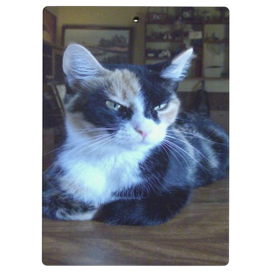 Meow Cats 24 klembord (Achterkant)