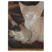Meow Cats 28 Klembord (Achterkant)