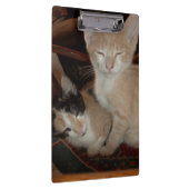 Meow Cats 28 Klembord (Rechts)