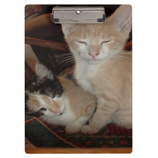 Meow Cats 28 Klembord (Voorkant)
