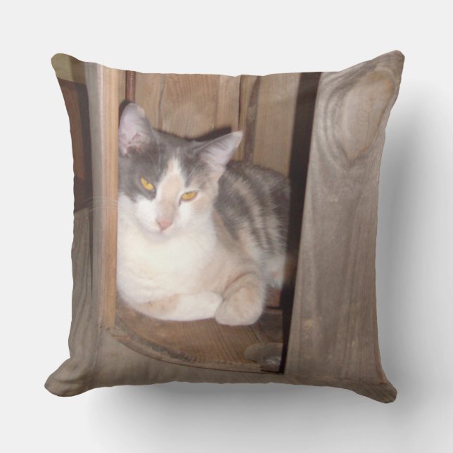 Meow Cats 33 Square Sierkussen (Voorkant)