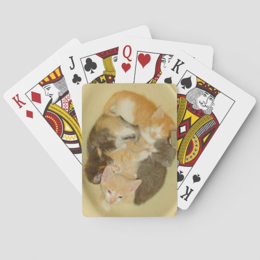 Meow Cats 4 speelkaarten (Achterkant)