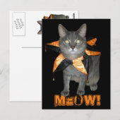 Meow Costume Cat Briefkaart (Voorkant / Achterkant)