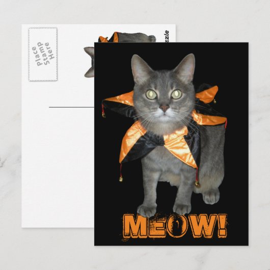 Meow Costume Cat Briefkaart (Voorkant / Achterkant)