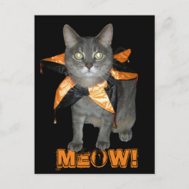 Meow Costume Cat Briefkaart