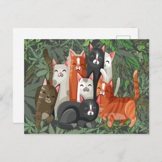Meow Gang  Briefkaart (Voorkant / Achterkant)