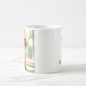 Meow Kat Koffiemok (Center)