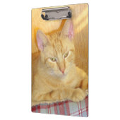 Meow Katten 15 Klembord (Links)