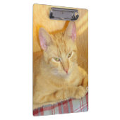 Meow Katten 15 Klembord (Rechts)