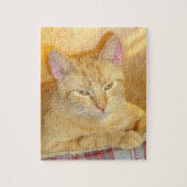 Meow Katten 15 Puzzle Legpuzzel (Verticaal)