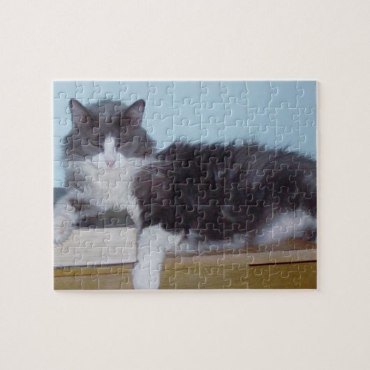Meow Katten 9 Puzzle Legpuzzel (Horizontaal)