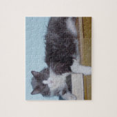 Meow Katten 9 Puzzle Legpuzzel (Verticaal)