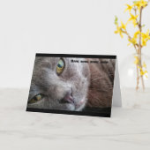 Meow Kitty Cat Verjaardag Kaart (Gele Bloem)