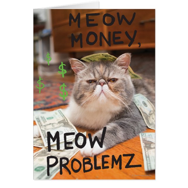 Meow Money, Meow Problemz (Voorkant)