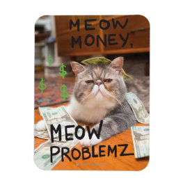 Meow Money, Meow Problemz Magneet