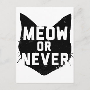 Meow of nooit briefkaart