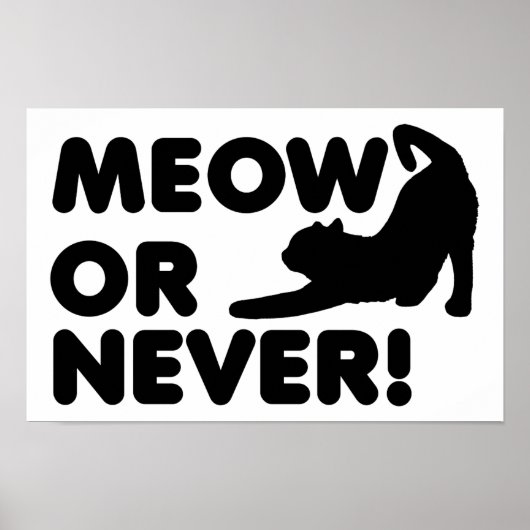 Meow of Nooit Funny Poster (Voorkant)