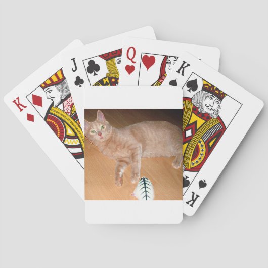 MEOW POKERKAARTEN (Achterkant)
