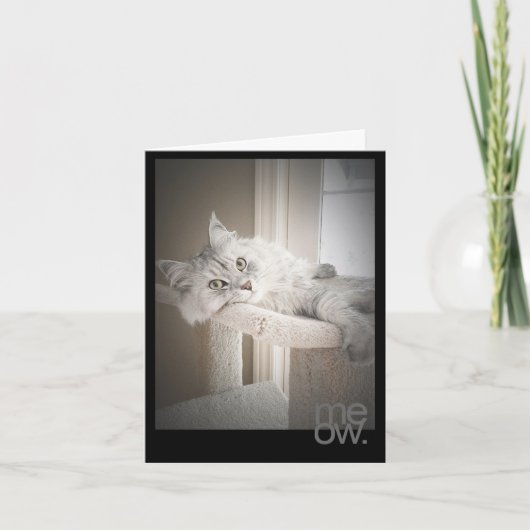 Meow Vertaalde Originele Verjaardag Kaart (Voorkant)