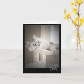 Meow Vertaalde Originele Verjaardag Kaart (Gele Bloem)