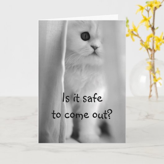 MEOWEKKEN MET GEVOELIGE U R 5O EN IK BEN NIET MEER KAART (Gele Bloem)