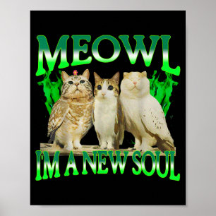 Meowl een nieuwe ziel kat uil grappige kat meme hu poster