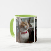 Meowww Mok (Voorkant links)