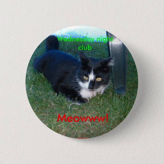Meowww. Woensdag, nachtclub Ronde Button 5,7 Cm (Voorkant)