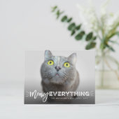 Meowy All Whiskers Cat Lover Cute Photo Pet Feestdagenkaart (Staand voorkant)