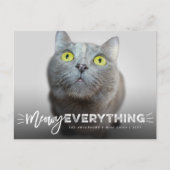 Meowy All Whiskers Cat Lover Cute Photo Pet Feestdagenkaart (Voorkant)