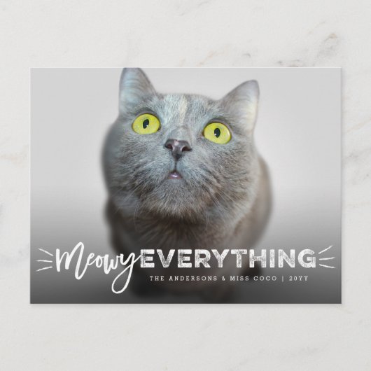 Meowy All Whiskers Cat Lover Cute Photo Pet Feestdagenkaart (Voorkant)