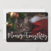 Meowy Alles Elegant Script Cat Funny Foto Feestdagenkaart (Voorkant)