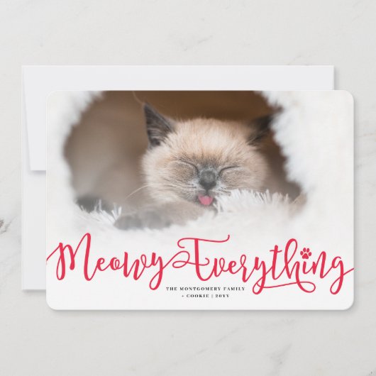 Meowy Alles Elegant Script Cat Funny Foto Feestdagenkaart (Voorkant)