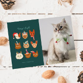Meowy & Bright Winter Cats Foto Kerstmis Feestdagenkaart