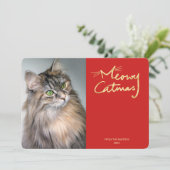 Meowy Catmas Funny Cat Photo Christmas Kaart (Staand voorkant)