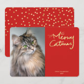 Meowy Catmas Funny Cat Photo Christmas Kaart (Voorkant / Achterkant)