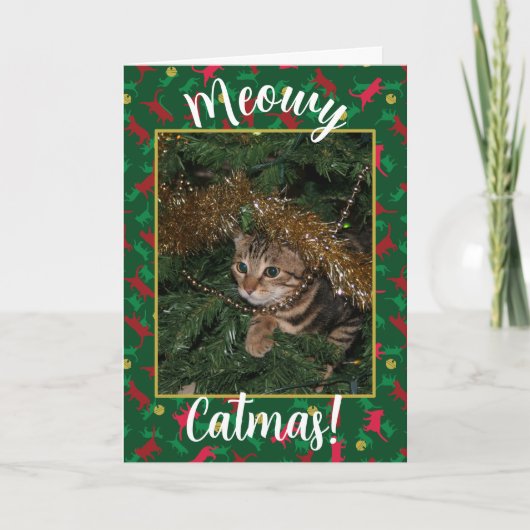 Meowy Catmas - Red Green Kerstmis Pattern Feestdagen Kaart (Voorkant)