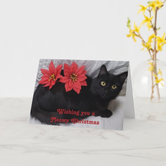 Meowy Christmas Black Cat Red Poinsettias Foto Kaart (Gele Bloem)