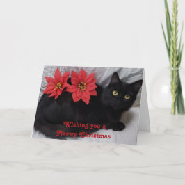 Meowy Christmas Black Cat Red Poinsettias Foto Kaart