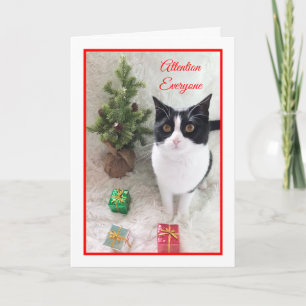 Meowy Christmas Cat Kaart — opgelet iedereen