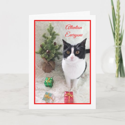 Meowy Christmas Cat Kaart — opgelet iedereen (Voorkant)
