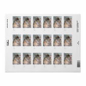 Meowy Christmas Cat Lover Foto Vakantie Gift Label (Full Sheet)