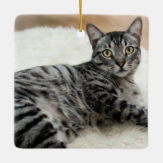 MEOWY CHRISTMAS Cat Name Photo Keramisch Ornament (Achterkant)