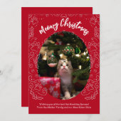 Meowy Christmas Cat Pet Christmas Kaart (Voorkant / Achterkant)