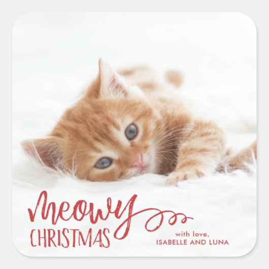 Meowy Christmas Cat Pet Vakantie Sticker (Voorkant)