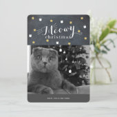 Meowy Christmas Chalkboard Foto Vakantie Kaart (Staand voorkant)