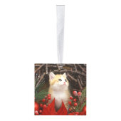Meowy Christmas Cute Kitten 3 Photos Animal Lovers Decoratie (Rechts)