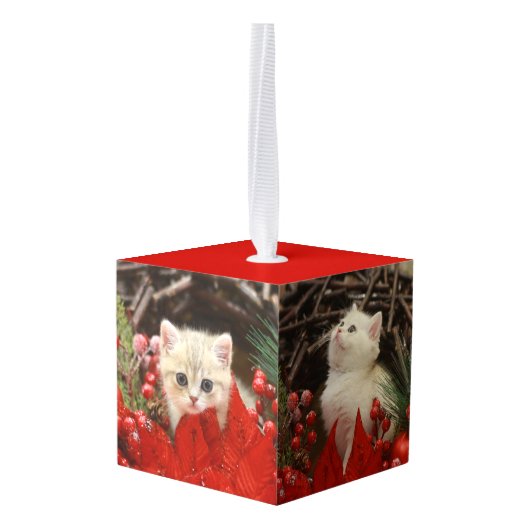 Meowy Christmas Cute Kitten 3 Photos Animal Lovers Decoratie (Achter hoekig)