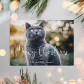 Meowy Christmas Elegant Kalligrafie Kattenfoto Feestdagenkaart