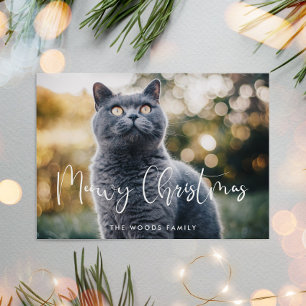 Meowy Christmas Elegant Kalligrafie Kattenfoto Feestdagenkaart
